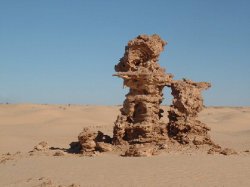 Venez partager la Tunisie avec nous !