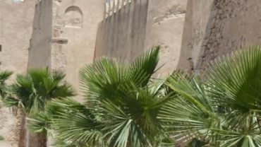 Venez partager la Tunisie avec nous !