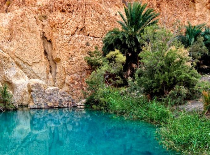 Venez partager la Tunisie avec nous !