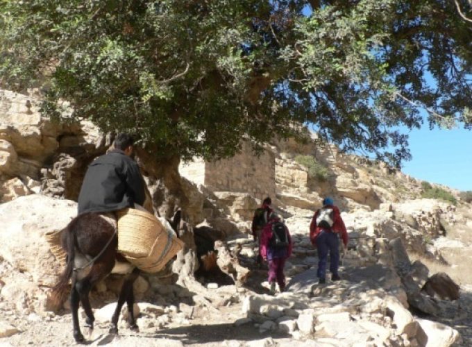 Venez partager la Tunisie avec nous !
