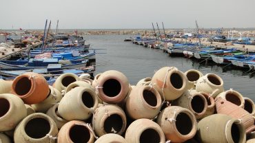 Venez partager la Tunisie avec nous !