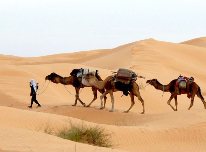 Venez partager la Tunisie avec nous !
