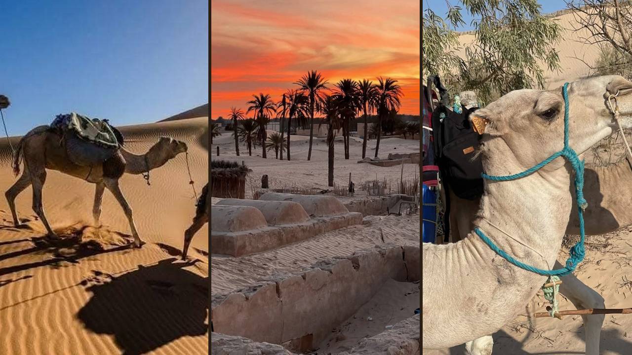 Caravane, pain du désert, oasis et villages du Sud tunisien