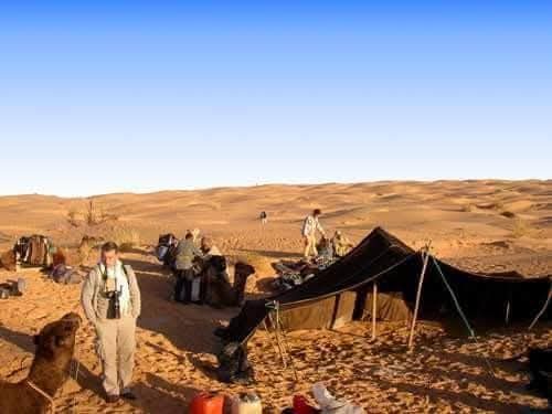 Le Bivouac étoilé